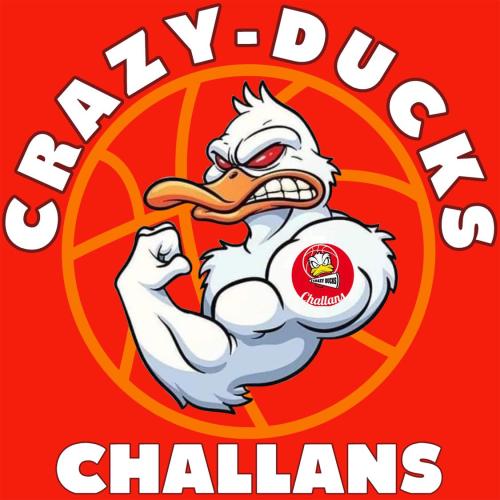 Logo CRAZY DUCKS
